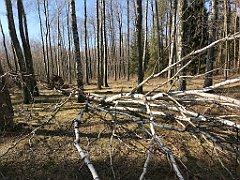 222_iP_220320_IMG_4763