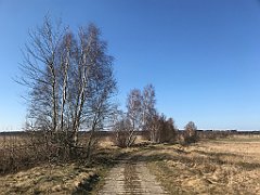 270_iP_220320_IMG_4773