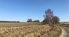 272_iP_220320_IMG_4775