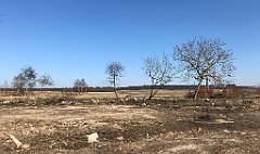 305_iP_220320_IMG_4782