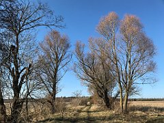 310_iP_220320_IMG_4783