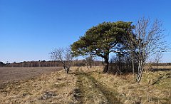 315_p20_IMG_20220320_142423