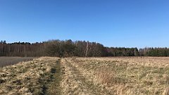 321_iP_220320_IMG_4789