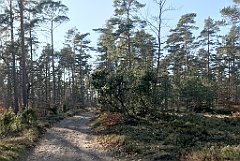 367_iP_220320_IMG_4799