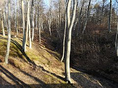 393_p20_IMG_20220320_154442