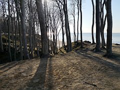 396_p20_IMG_20220320_154507