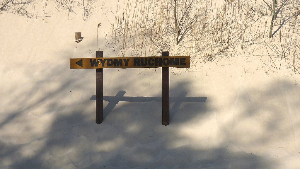290_3D2_P1100378.JPG