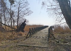 251_p20_IMG_20220325_111819