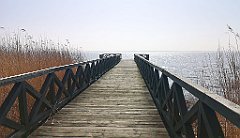 252_p20_IMG_20220325_111838