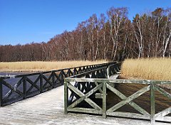 263_p20_IMG_20220325_112026