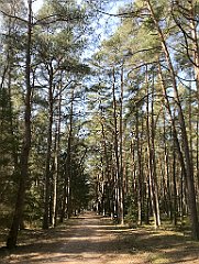 276_iP_220325_IMG_4853