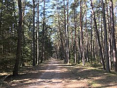 277_iP_220325_IMG_4855