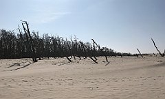 317_iP_220325_IMG_4857