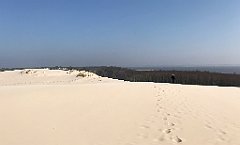 337_iP_220325_IMG_4867