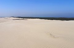 351_p20_IMG_20220325_122901