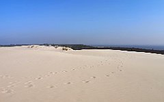 353_p20_IMG_20220325_122916