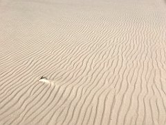 379_iP_220325_IMG_4891