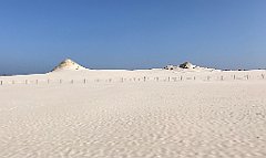 415_iP_220325_IMG_4904