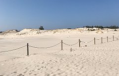 441_iP_220325_IMG_4915