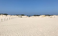 442_iP_220325_IMG_4916