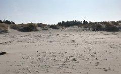 468_iP_220325_IMG_4917