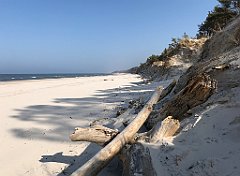 496_iP_220325_IMG_4928