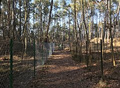 536_iP_220325_IMG_4931