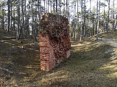 542_p20_IMG_20220325_145954