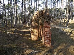 543_p20_IMG_20220325_150007