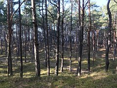 552_iP_220325_IMG_4954