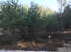 558_iP_220325_IMG_4961