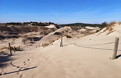 081_p20_IMG_20220412_085509