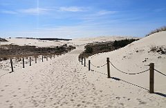 244_p20_IMG_20220412_120910