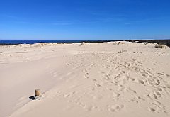 334_p20_IMG_20220412_123720