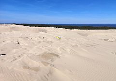 335_p20_IMG_20220412_123730