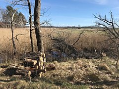 011_iP_220416_IMG_5072