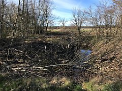 031_iP_220416_IMG_5087