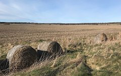 066_iP_220416_IMG_5105