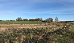 105_iP_220416_IMG_5117