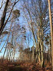 166_iP_220416_IMG_5138