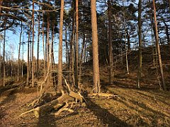 169_iP_220416_IMG_5141