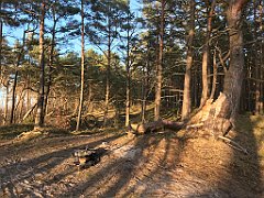 189_iP_220416_IMG_5154