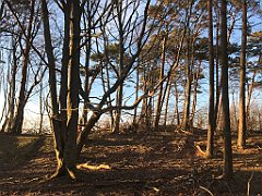 193_iP_220416_IMG_5160
