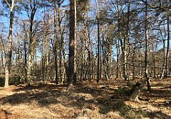 028_iP_220421_IMG_5169