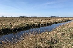 147_iP_220421_IMG_5203