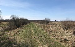 164_iP_220421_IMG_5218