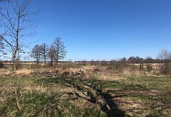 219_iP_220421_IMG_5239