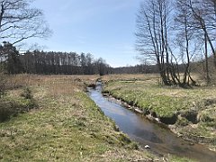 296_iP_220421_IMG_5255