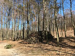 340_iP_220421_IMG_5268