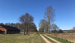 394_iP_220421_IMG_5290